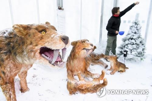 [사이테크+] "검치 동물 송곳니는 물기에 최적화된 무기…수렴진화 결과"