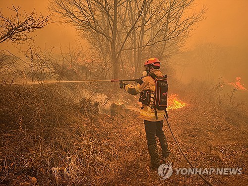 중앙선 의성∼안동역 하화터널 부근 산불에 열차 운행 중지(종합)